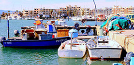 feu-artifice-2-crop-u58314 efefeef