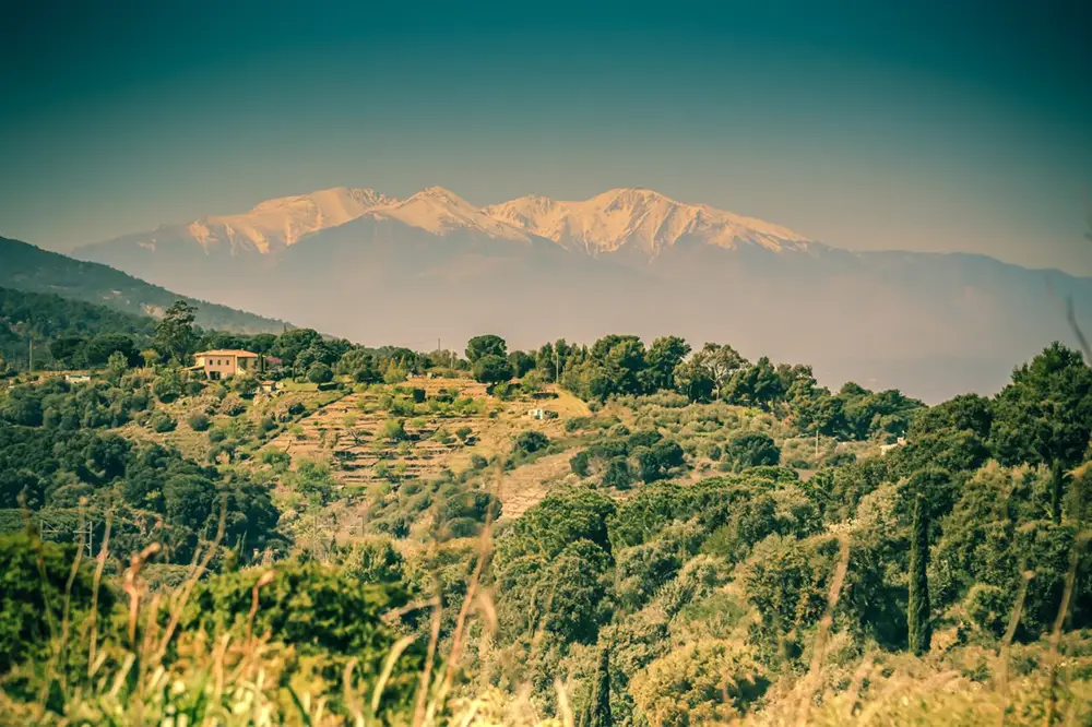 Le pic du Canigou