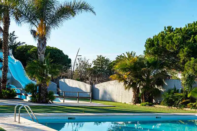 piscines chauffée avec palmiers